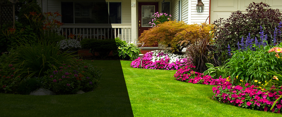 Demotte Landscapers