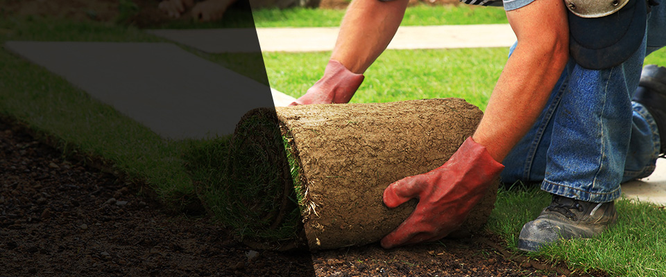 Demotte Landscapers